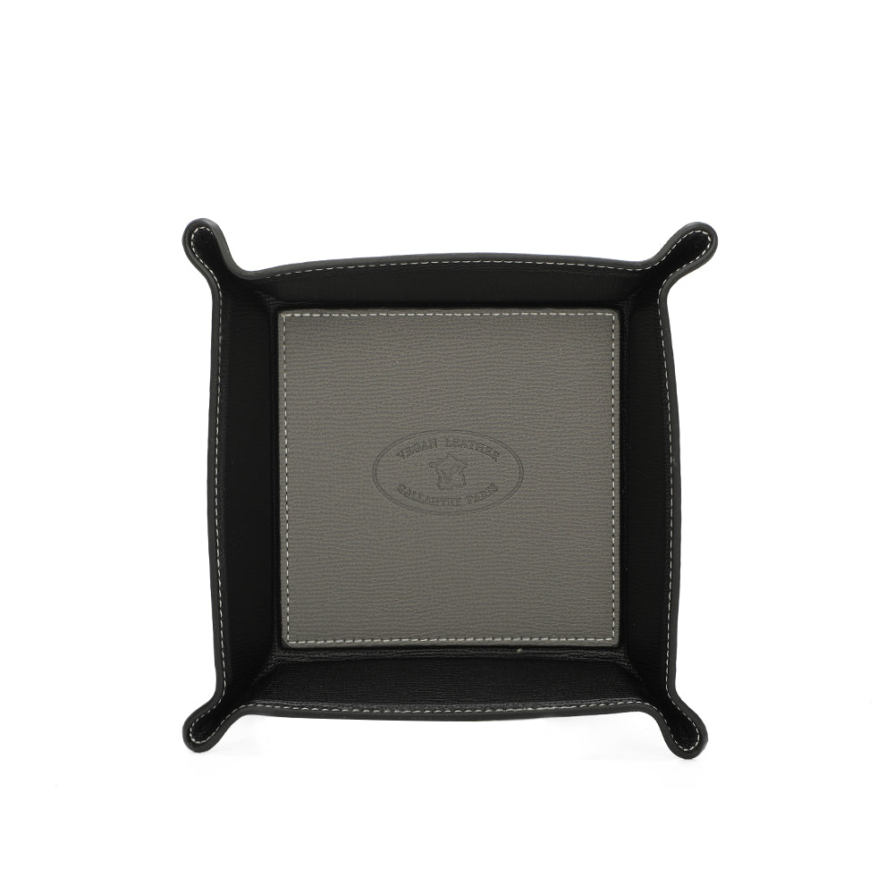 #couleur_gris foncé