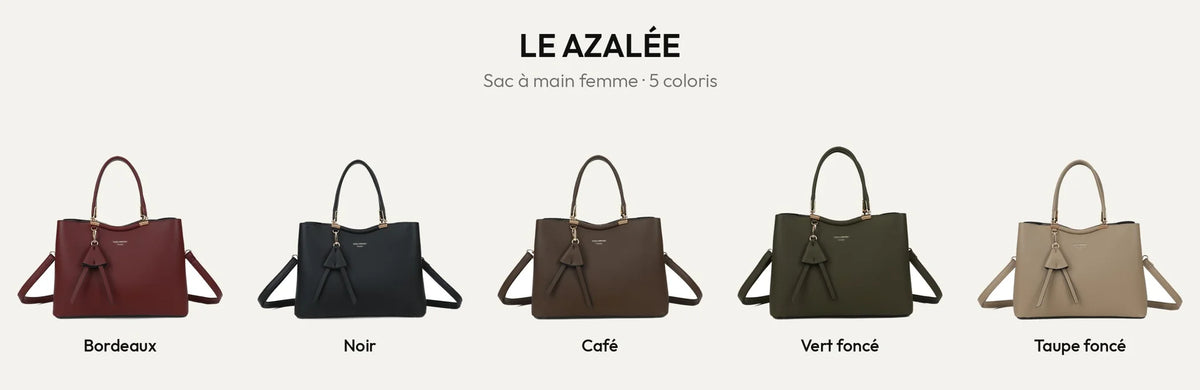 Sac à main Le Azalée en 5 coloris : Bordeaux, Noir, Coffee, vert foncé et taupe foncé – Gallantry Paris – réf. DQ-8741