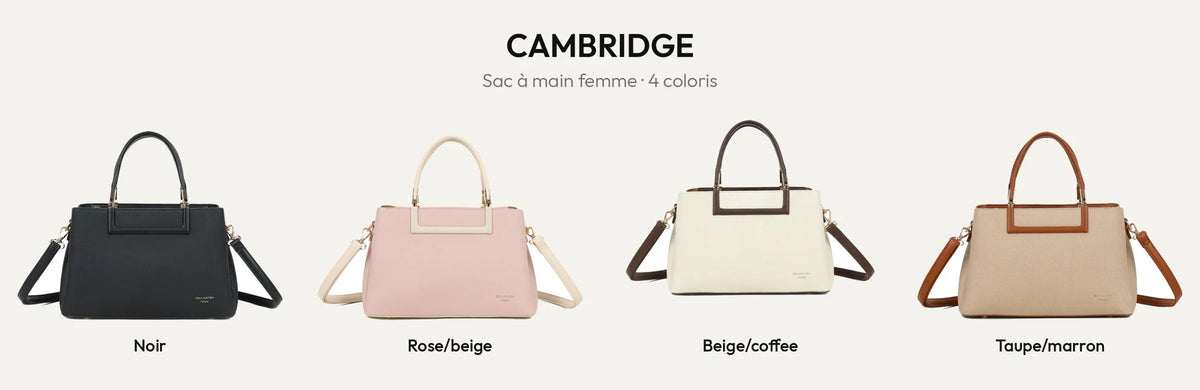 Sac à main Cambridge en quatre coloris : Noir, Rose/beige, Beige/Coffee et Taupe/Marron – Gallantry Paris – réf. DQ-8728