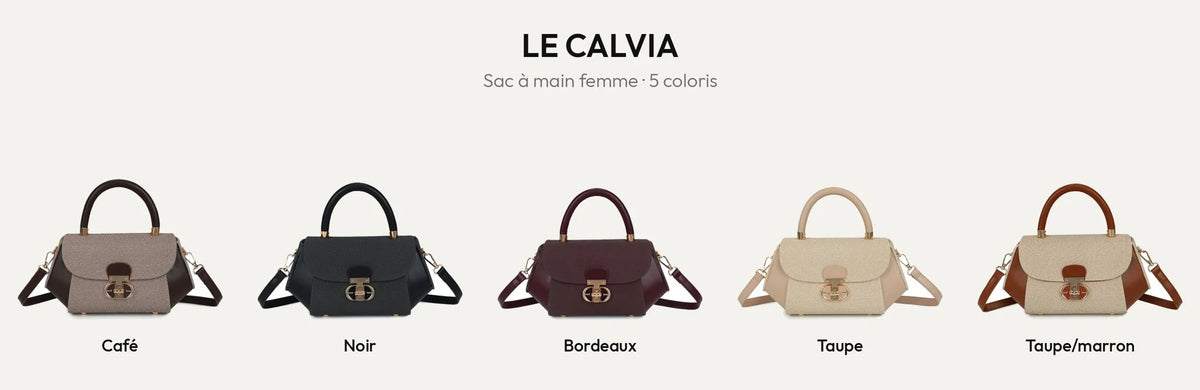 Le Calvia, sac à main femme à fermoir bijou doré, en 5 coloris : Coffee, Noir, Bordeaux, Taupe, Taupe/Marron – Gallantry Paris – réf. YL-26008-2